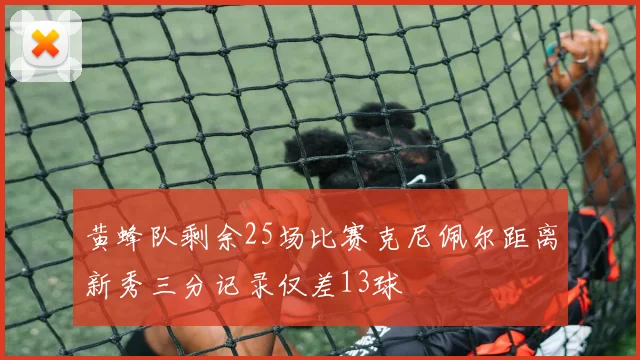 黄蜂队剩余25场比赛克尼佩尔距离新秀三分记录仅差13球